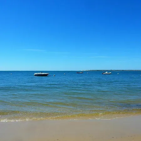 - T2 Renove Avec Balcon Proche Et Centre - Fr-1-420-91 Appartement Arcachon