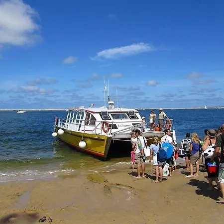- T2 Rénové Avec Balcon Proche Et Centre - Fr-1-420-91
