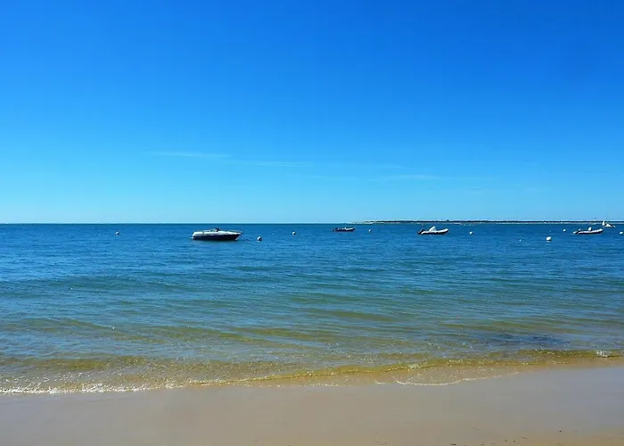 - T2 Renove Avec Balcon Proche Et Centre - Fr-1-420-91 アパート アルカション